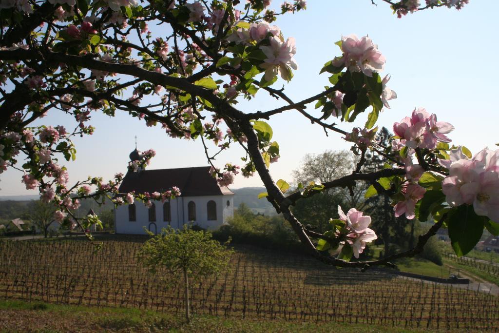 Villa Mandelbluete Gleiszellen-Gleishorbach Kamer foto