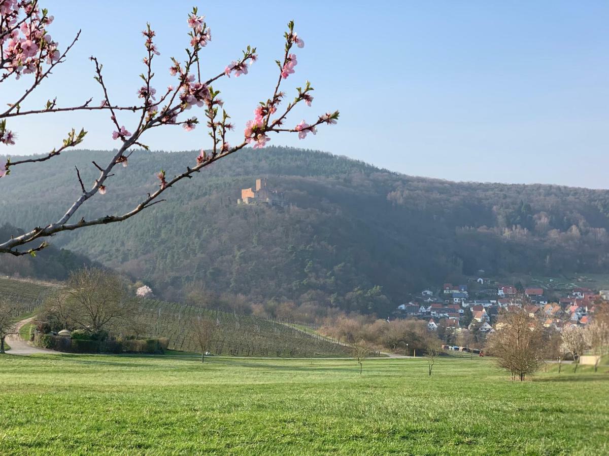 Villa Mandelbluete Gleiszellen-Gleishorbach Buitenkant foto